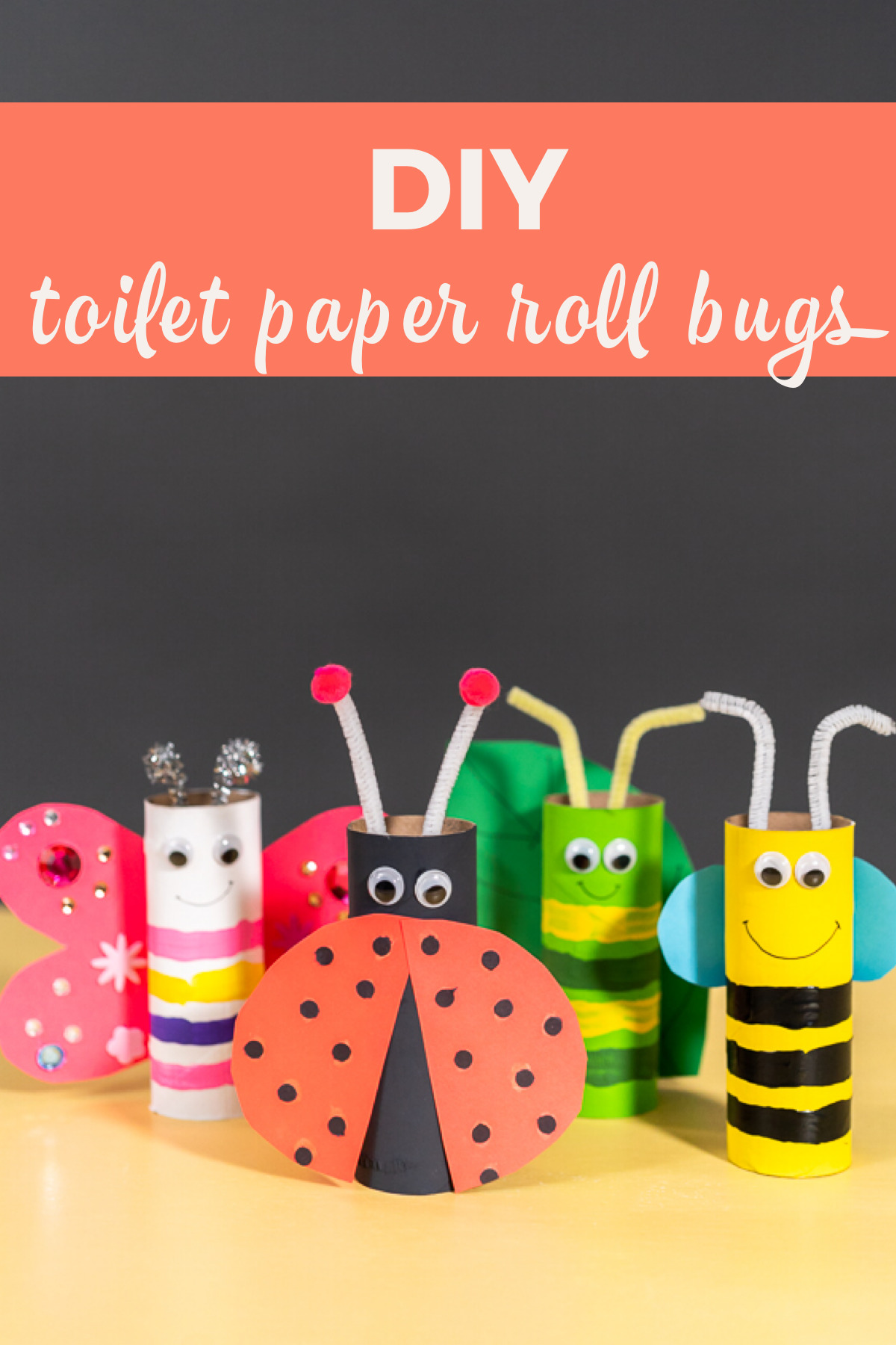 DIY Toilet Paper Roll Bugs