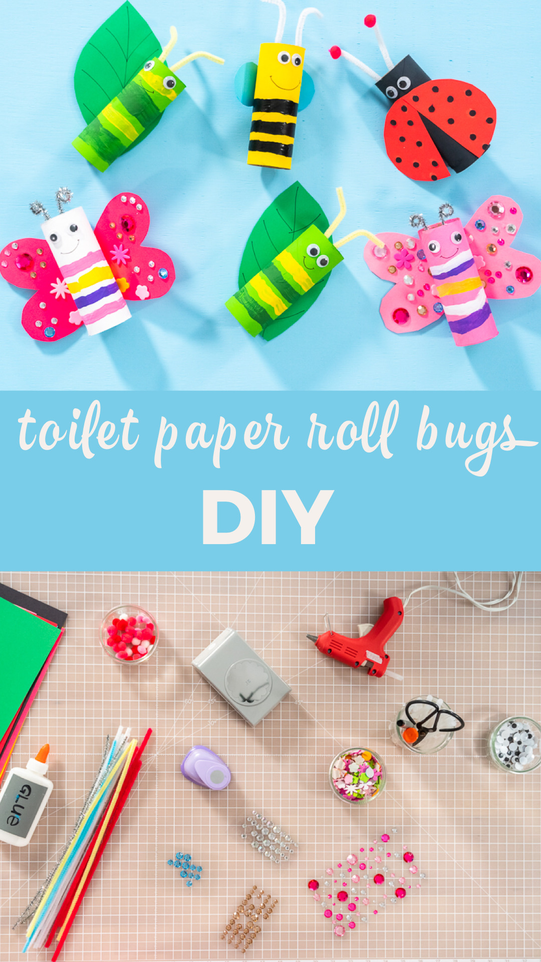 DIY Toilet Paper Roll Bugs