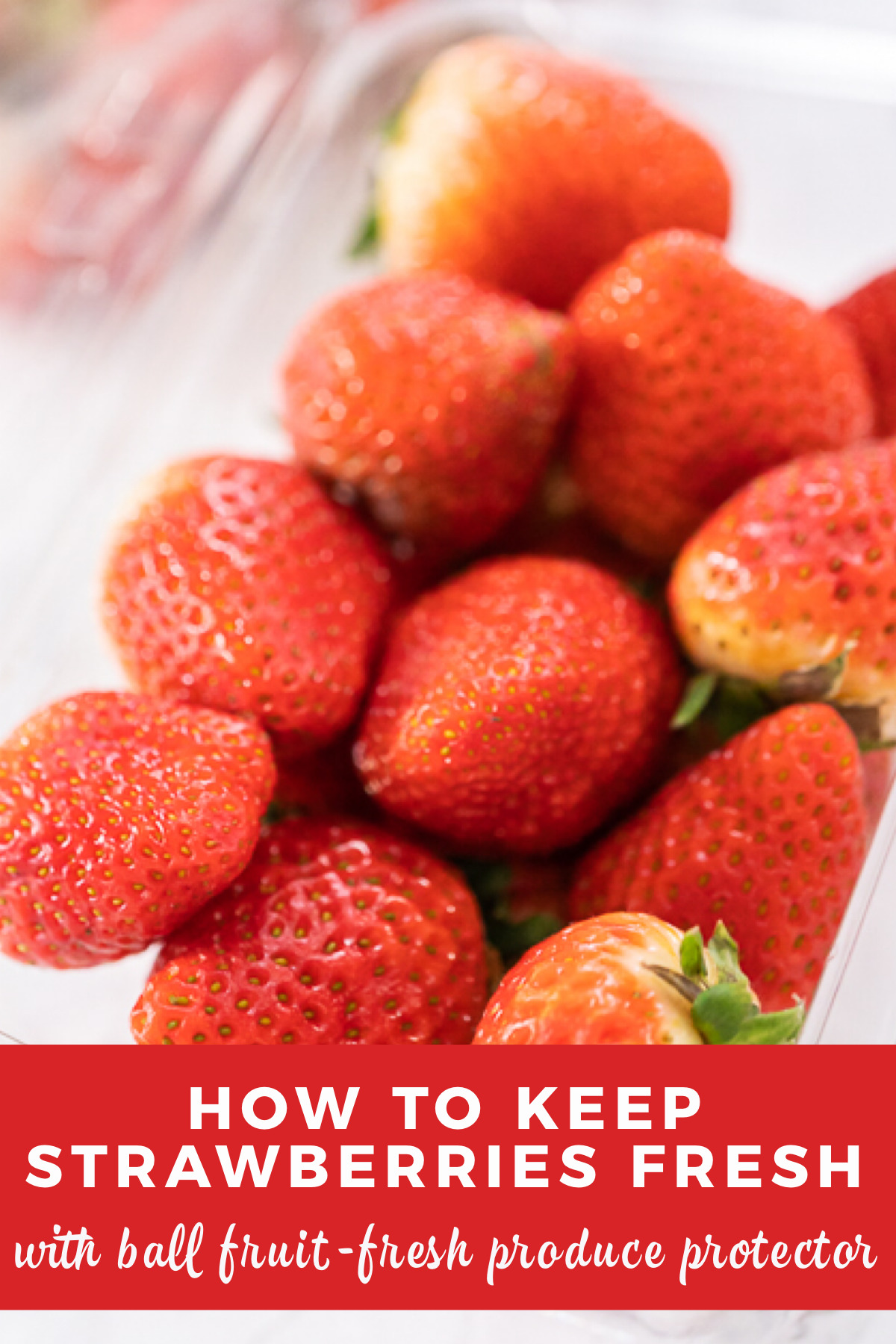 How to keep strawberries fresh with Ball fruit-fresh produce protector