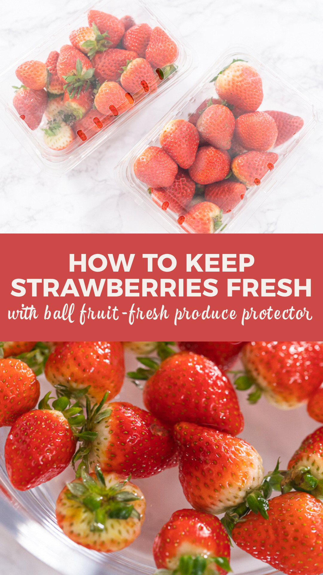 How to keep strawberries fresh with Ball fruit-fresh produce protector