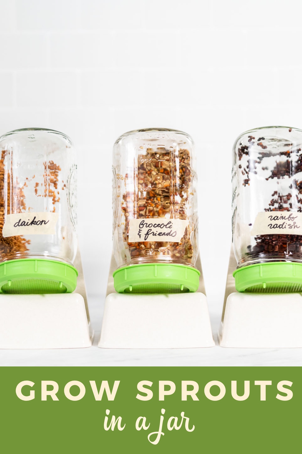 How to Grow Sprouts in a Jar