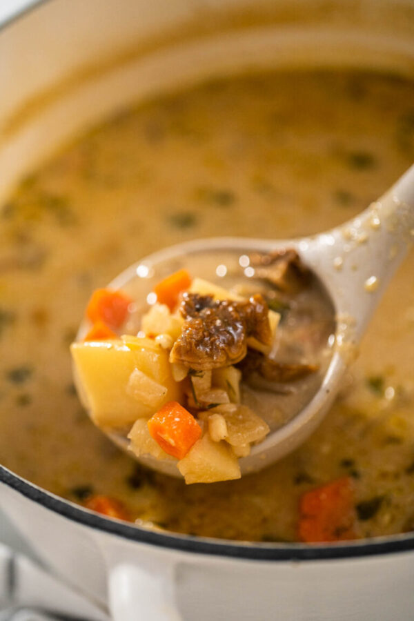 Freshly cooked creamy wild mushroom soup made in an enameled dutch oven with a serving spoon.