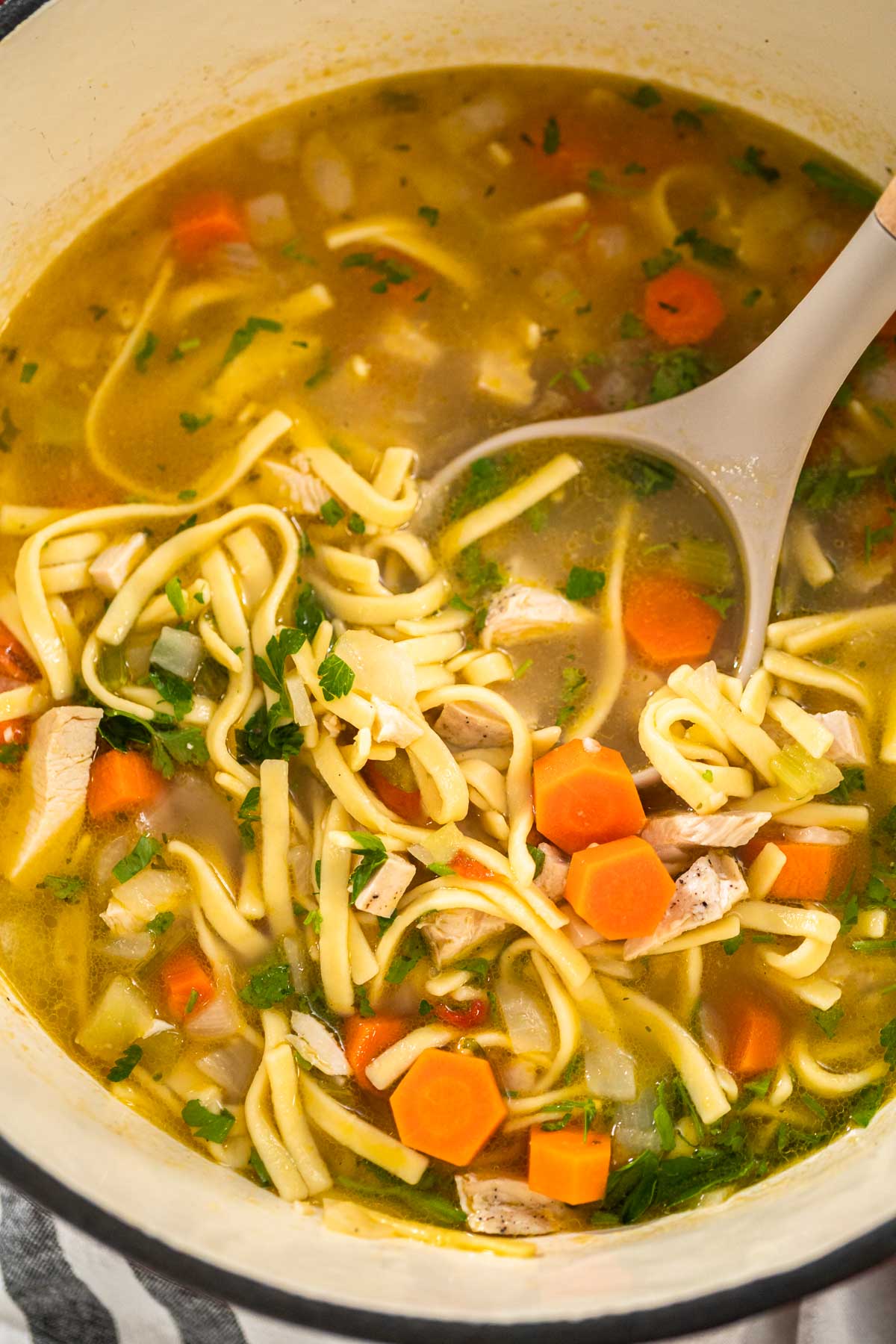 BEST Homemade Chicken Noodle Soup –