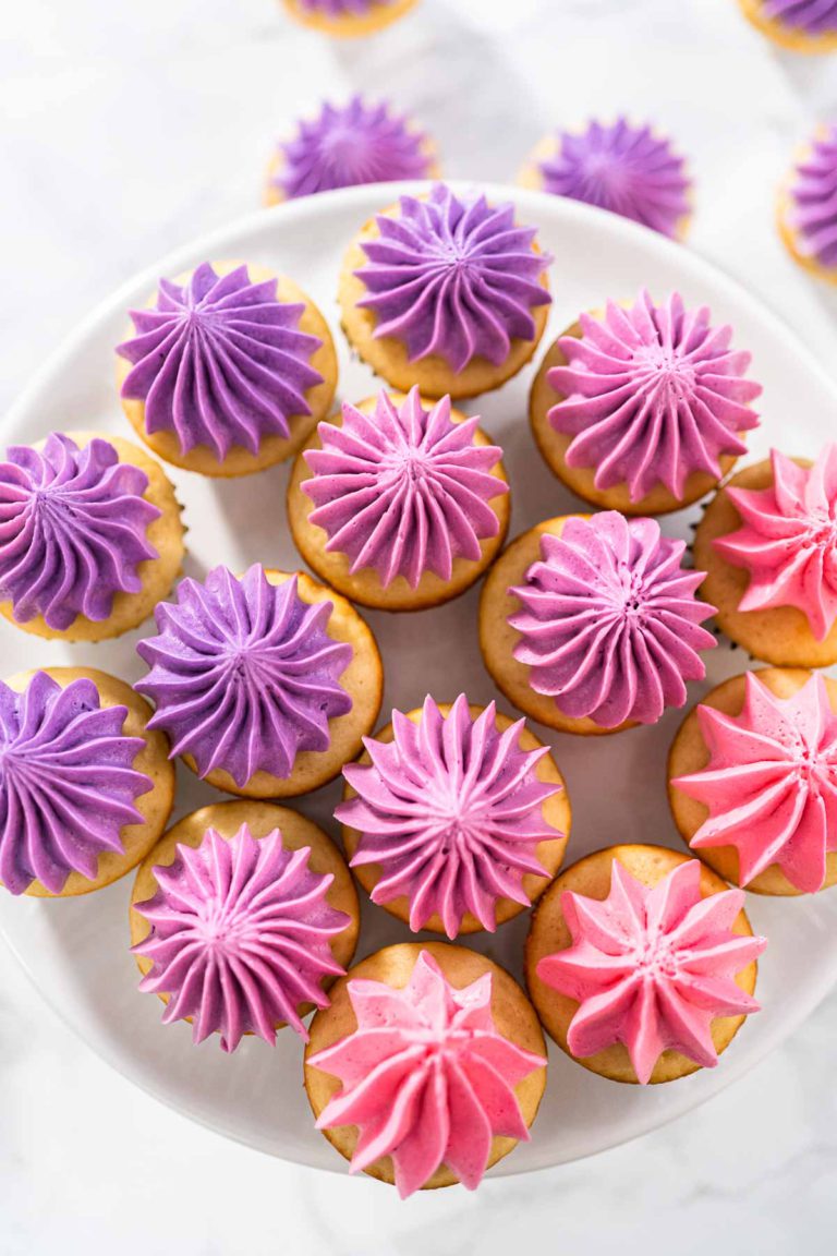 Mini Vanilla Cupcakes with Ombre Buttercream Frosting