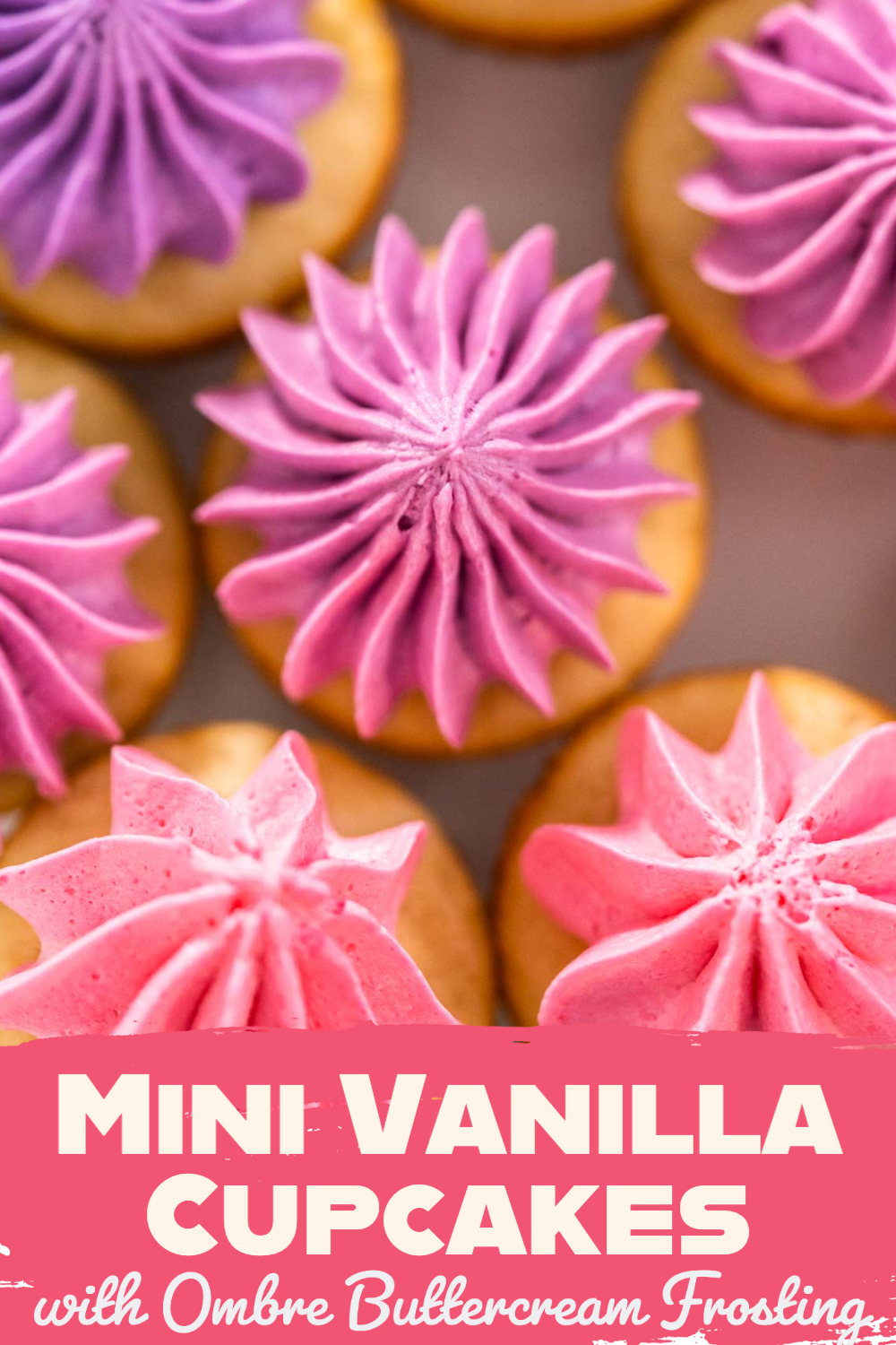 Mini Vanilla Cupcakes with Ombre Buttercream Frosting