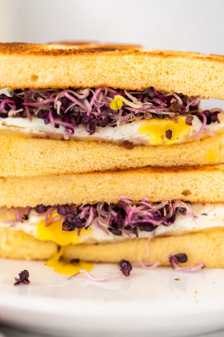 Breakfast Egg and Sprouts Sandwich