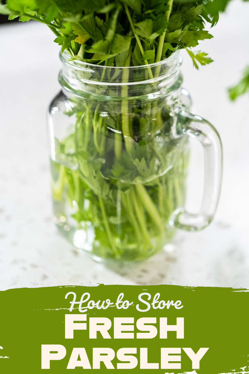 How to Store Fresh Parsley