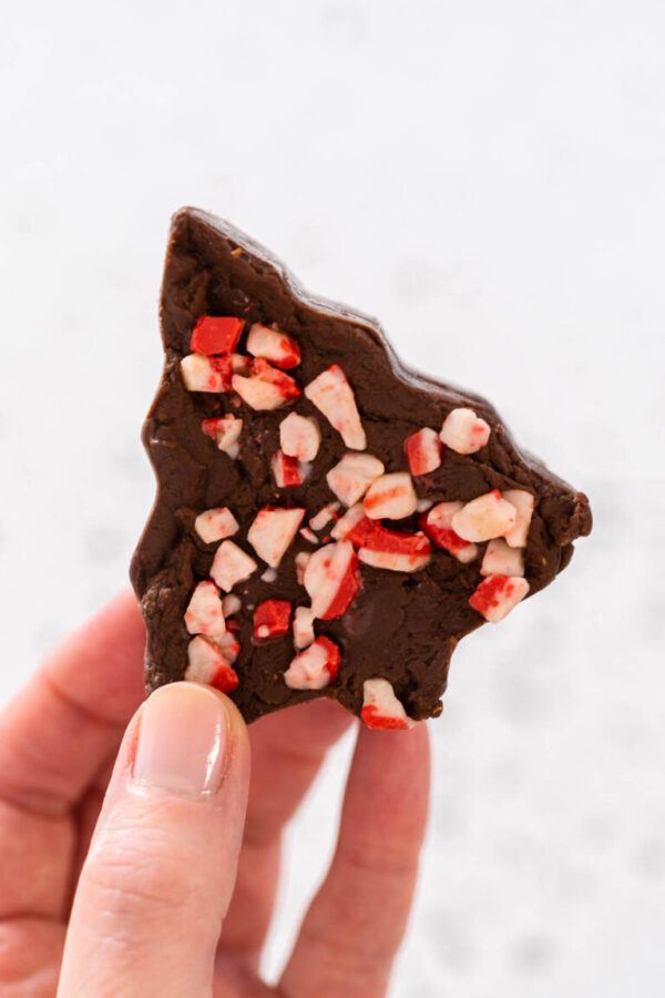 Holding homemade Christmas cookie-cutter peppermint fudge.
