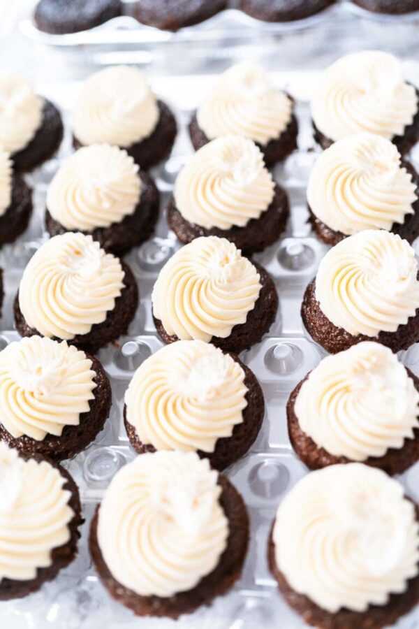Chocolate mini cupcakes with Italian buttercream frosting in cupcake plastic box.