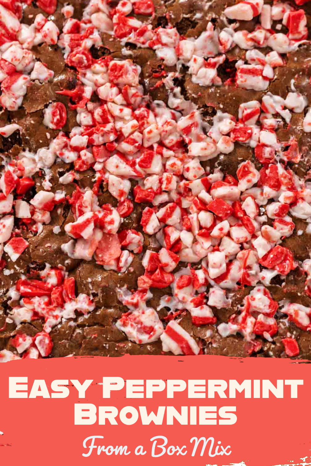 Easy Peppermint Brownies From a Box Mix