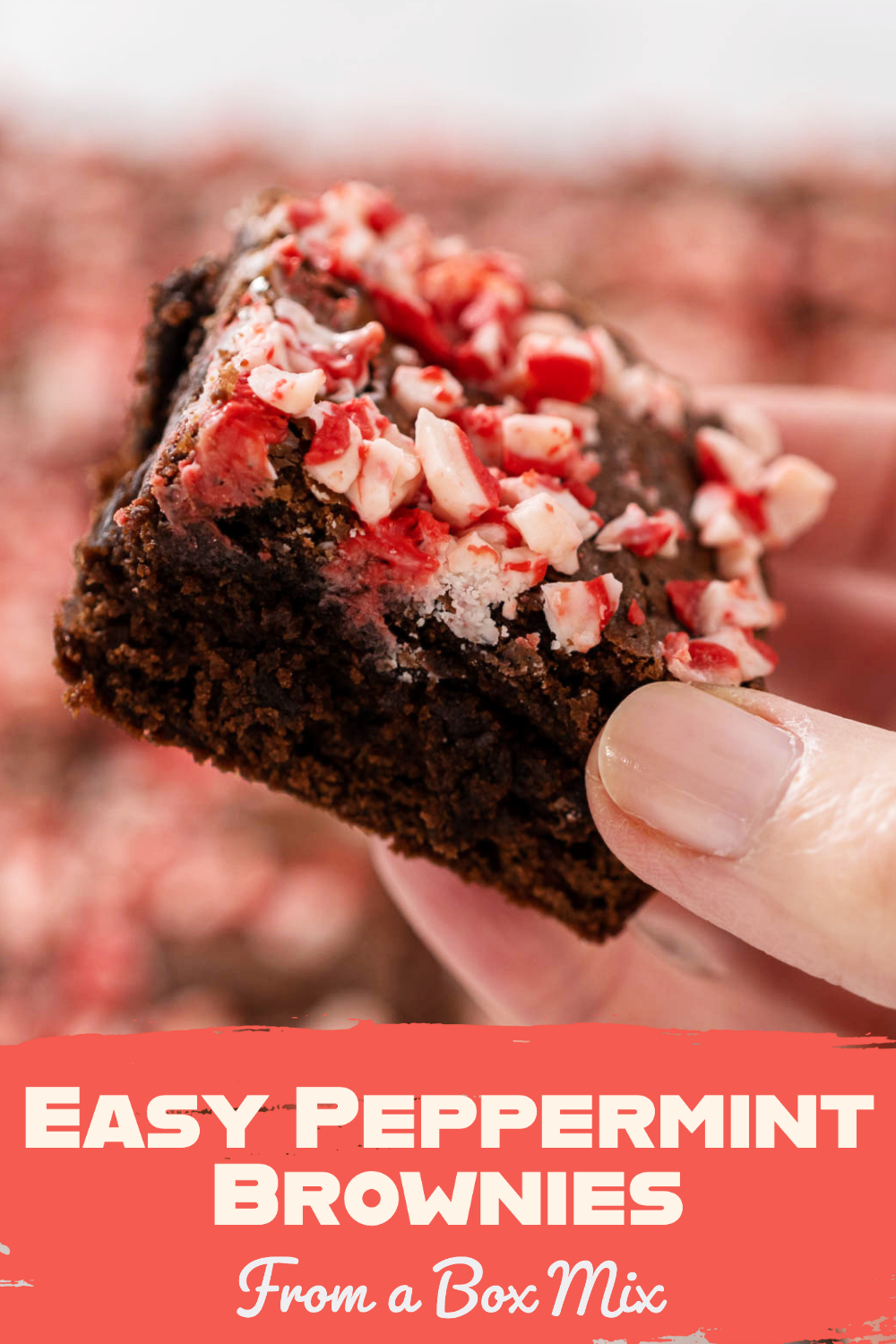 Easy Peppermint Brownies From a Box Mix