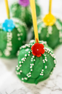 Cactus Cake Pops