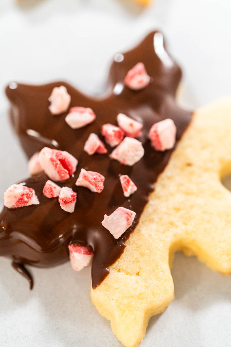 Chocolate-dipped cutout sugar cookies