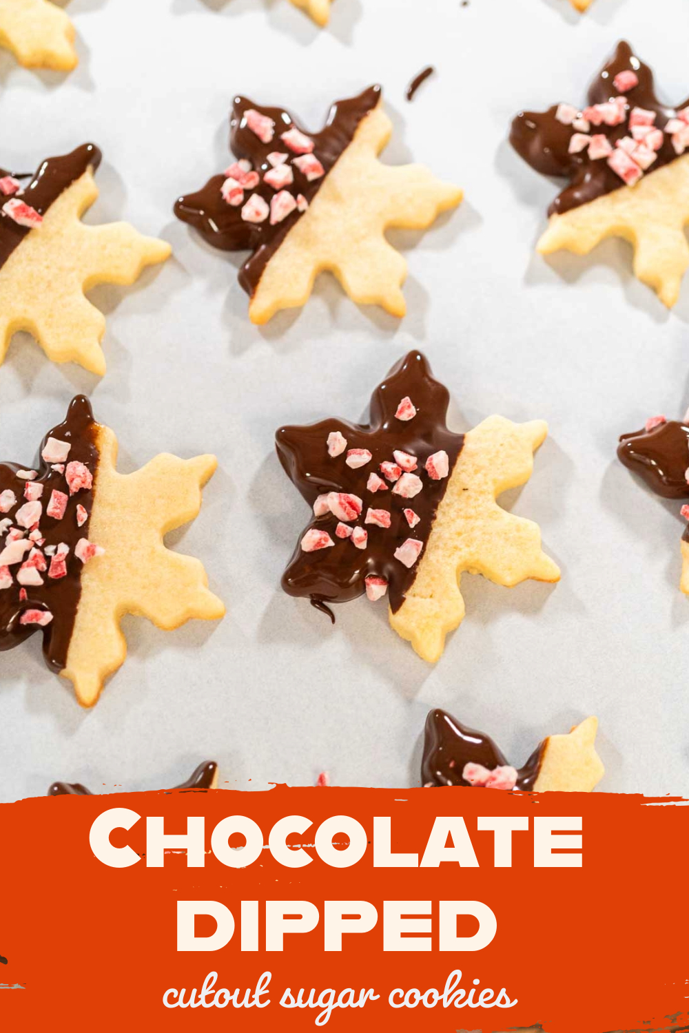 Chocolate-dipped cutout sugar cookies