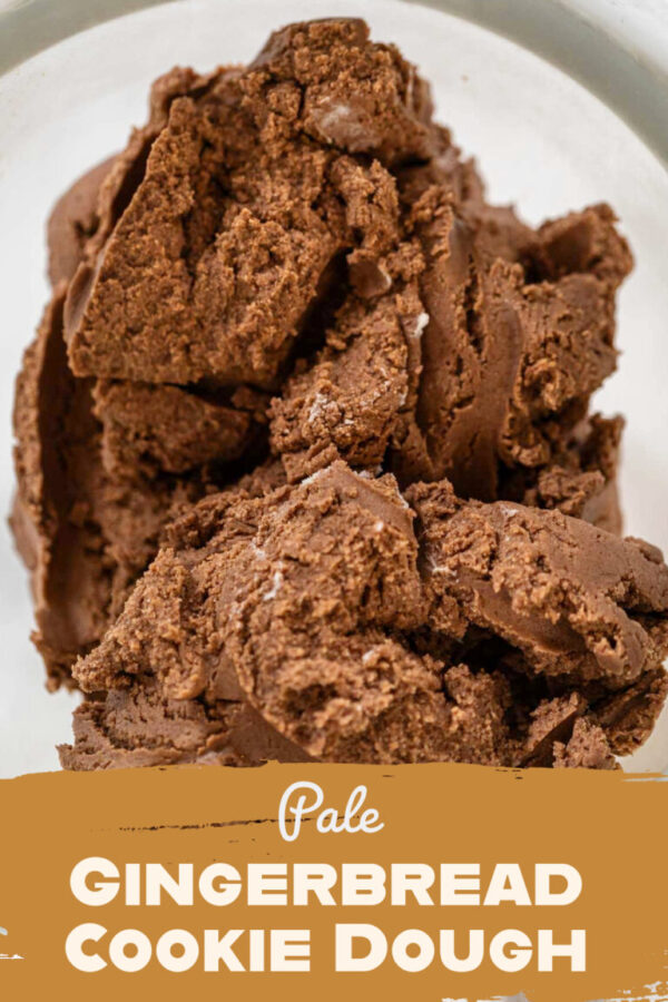 Pale Gingerbread Cookie Dough – Light and Soft for Holiday Cutout