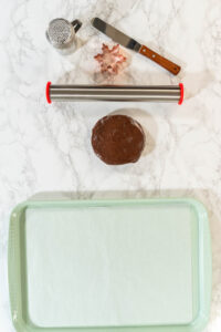 Chocolate Ginger Sugar Cookies in Snowflake Shapes A Festive Tre - Arina Photography