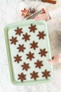 Chocolate Ginger Sugar Cookies in Snowflake Shapes A Festive Tre - Arina Photography