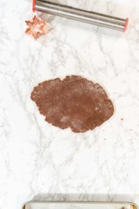 Chocolate Ginger Sugar Cookies in Snowflake Shapes A Festive Tre - Arina Photography