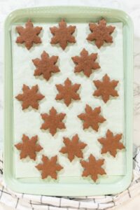 Chocolate Ginger Sugar Cookies in Snowflake Shapes A Festive Tre - Arina Photography