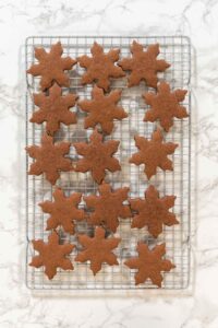 Chocolate Ginger Sugar Cookies in Snowflake Shapes A Festive Tre - Arina Photography