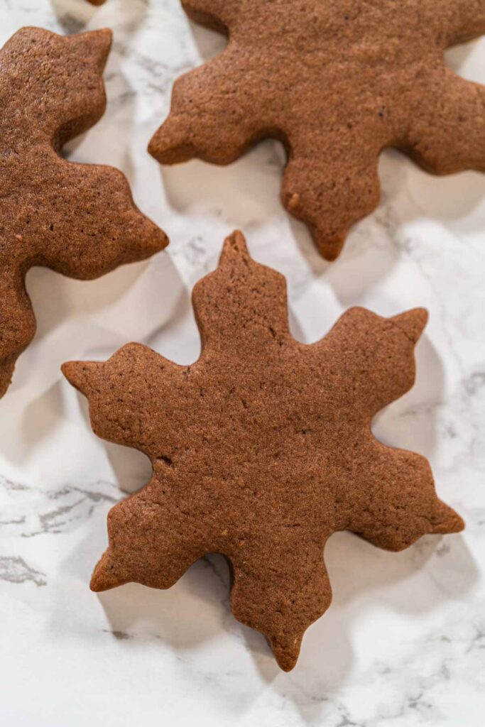 Chocolate Ginger Sugar Cookies in Snowflake Shapes A Festive Tre - Arina Photography Grouped arrangement of three Chocolate Ginger Sugar Cookies in snowflake shapes on a marble surface, showcasing their uniform design and festive appeal.