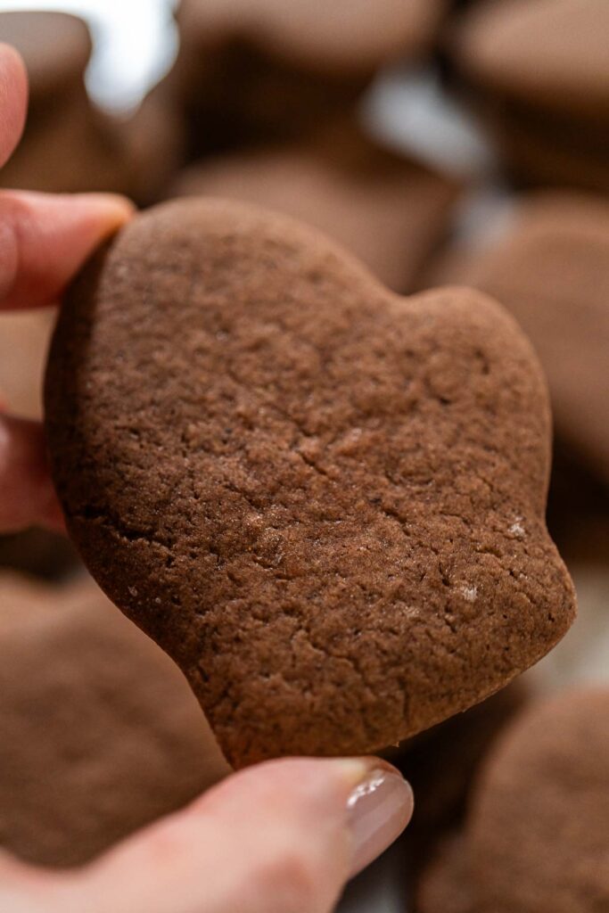Close-up of a hand holding a plain chocolate mitten-shaped cookie, ready to be decorated.
