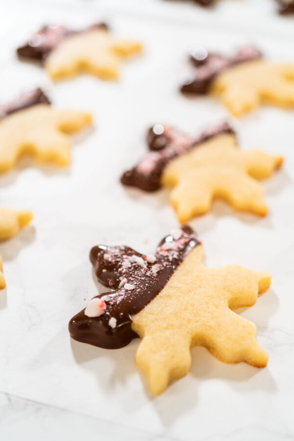 Star-shaped sugar cookie dipped in dark chocolate and sprinkled with crushed peppermint candy, resting on parchment paper