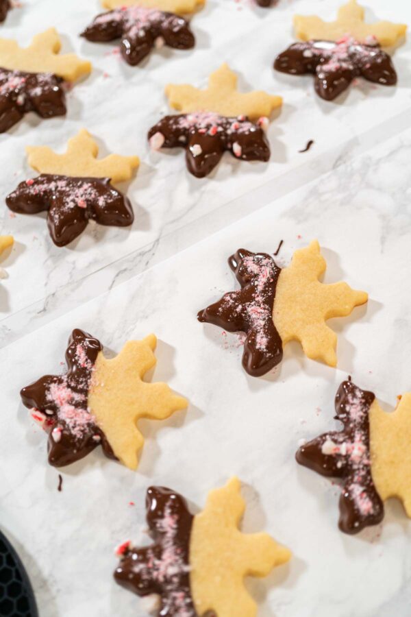 Snowflake-shaped sugar cookies dipped in melted chocolate and sprinkled with crushed peppermint, set on parchment paper to dry.